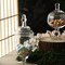3 Clear Glass Apothecary Jars Containers with Lids Dessert Party Decorations